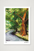 Central Park Tree Eye — A4 (21×30cm, 8×12") Print only