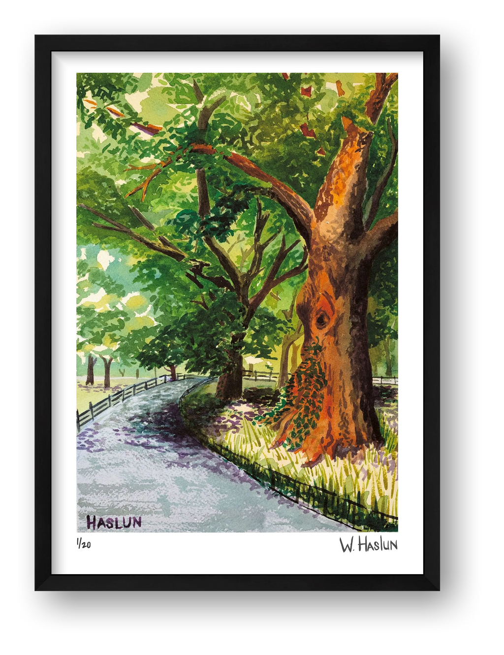Central Park Tree Eye — framed