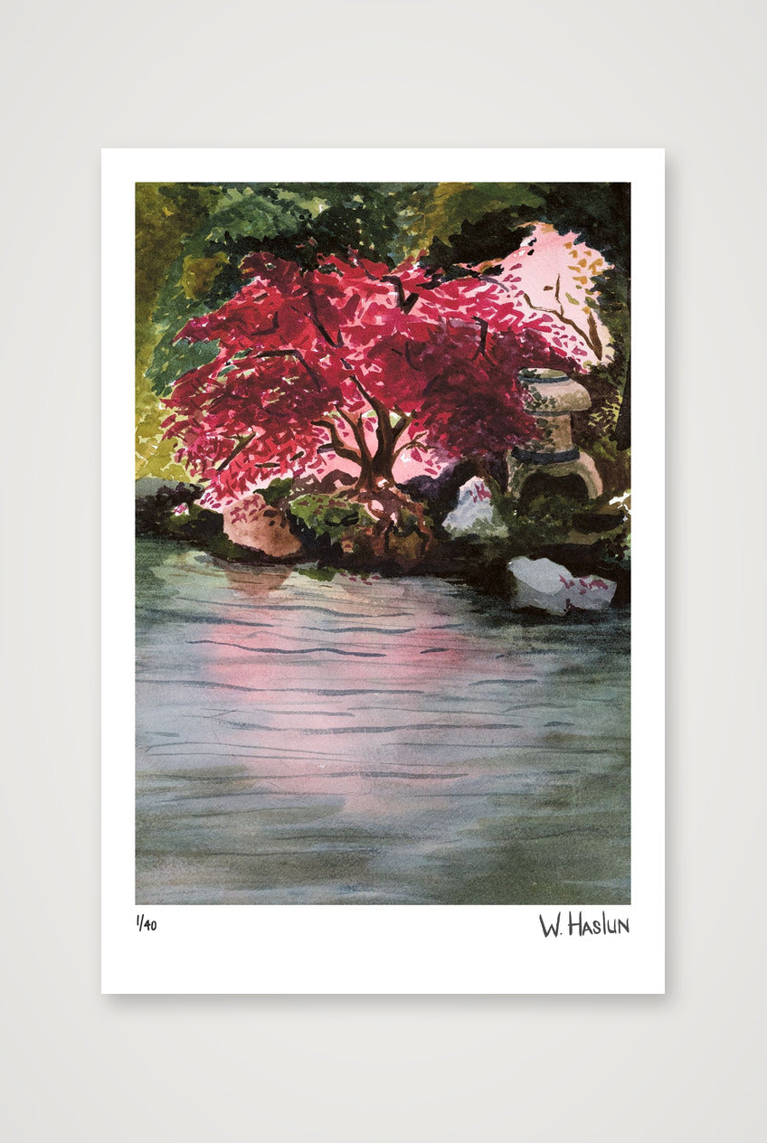 Japanese Maple — 30×45cm, 12×18" Print only