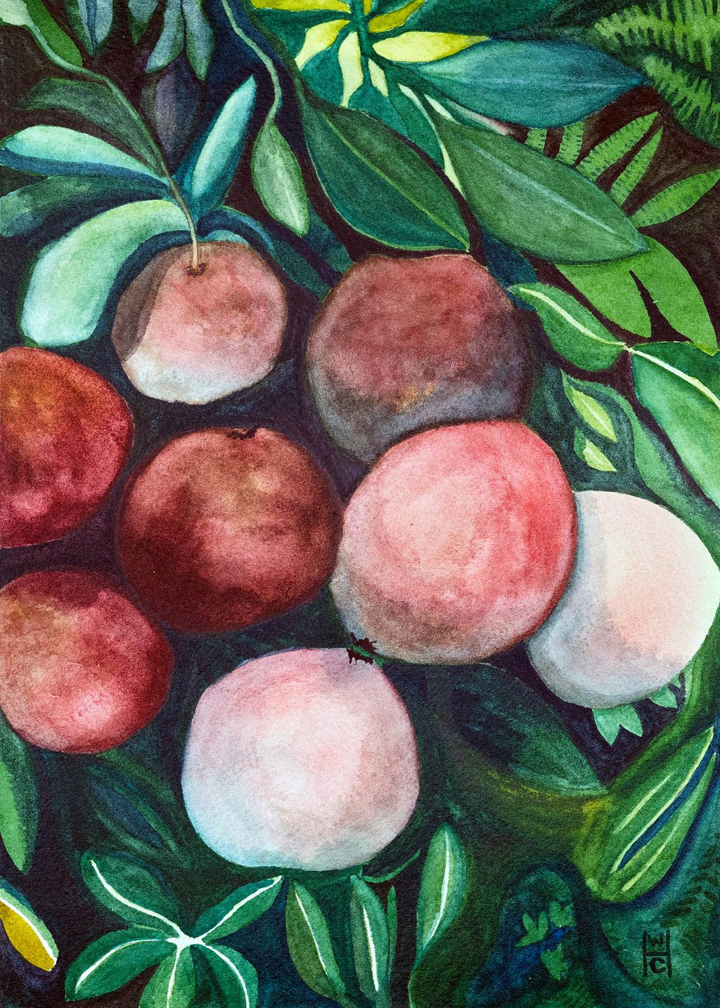 Pomegranates