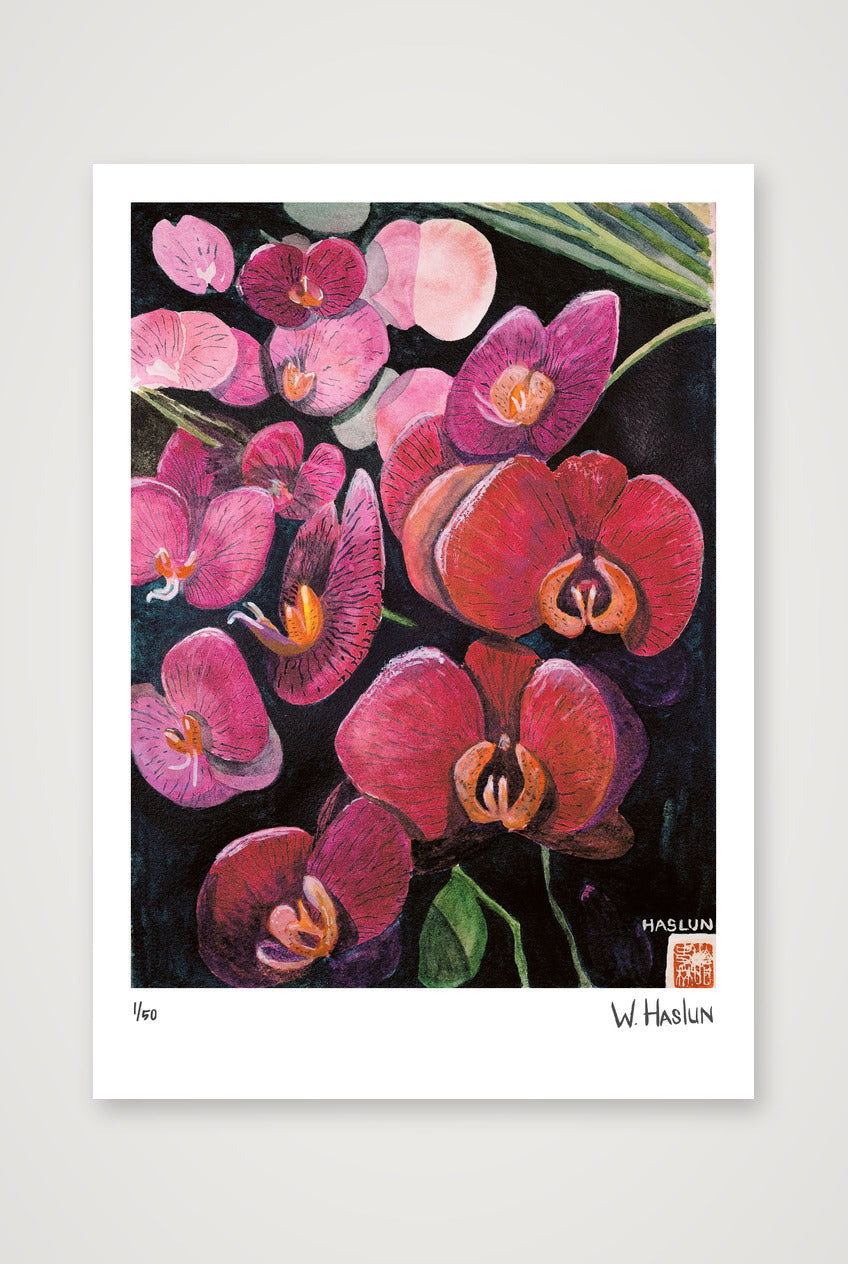 Pink Orchids — A4 (21×30cm, 8×12") Print only