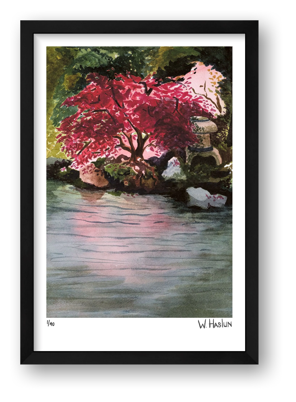 Japanese Maple — framed