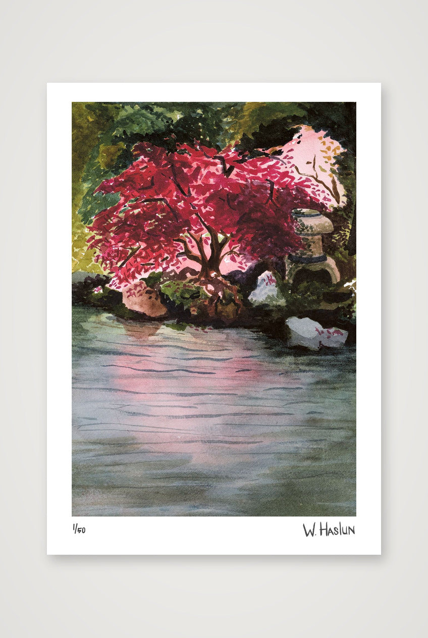 Japanese Maple — A4 (21×30cm, 8×12") Print only