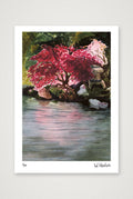 Japanese Maple — A4 (21×30cm, 8×12") Print only