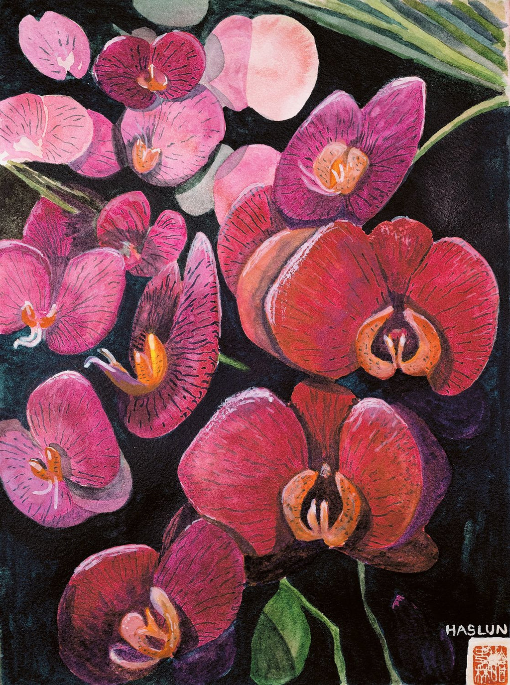 Pink Orchids
