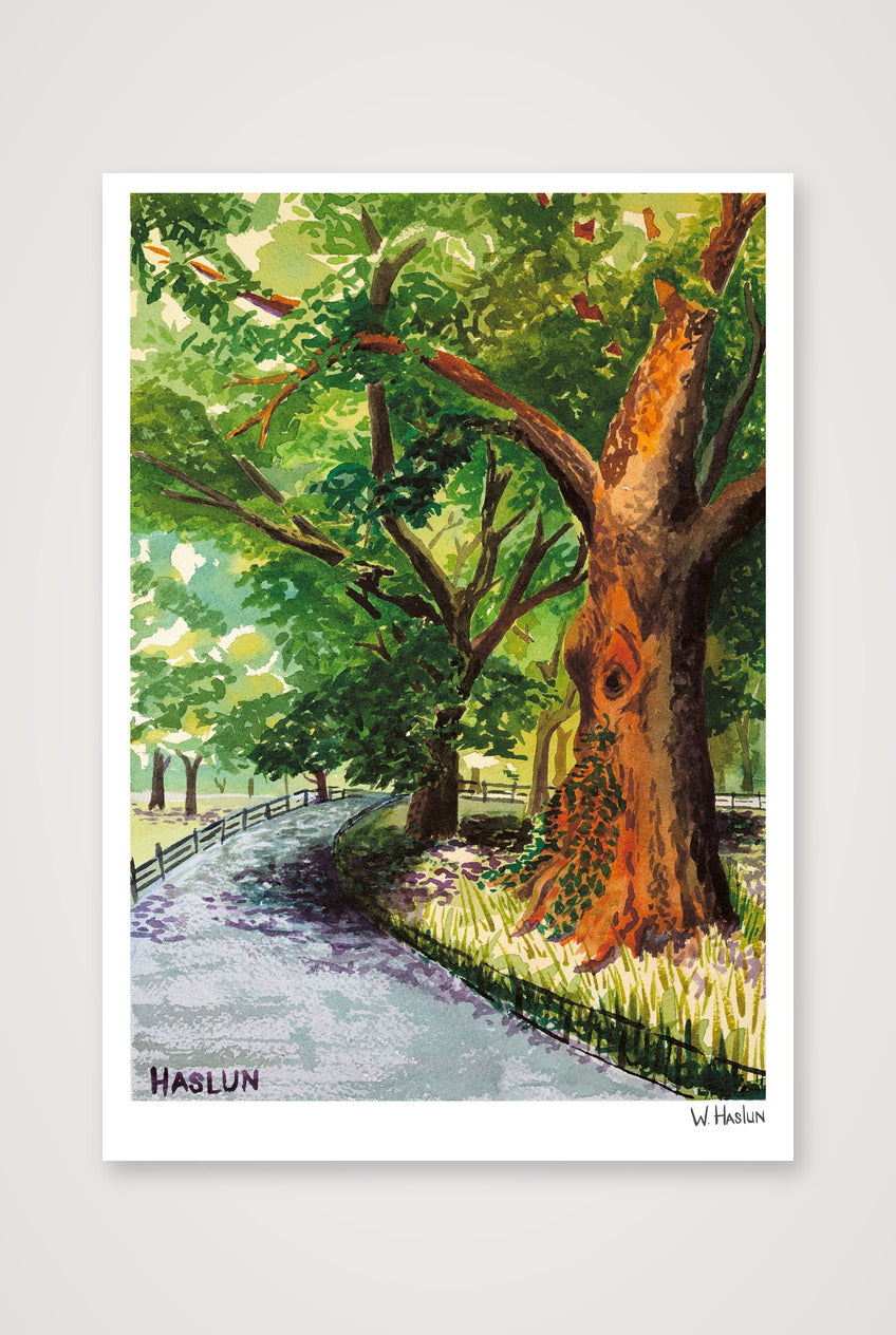 Central Park Tree Eye — 70×100cm, 28×39" Print only