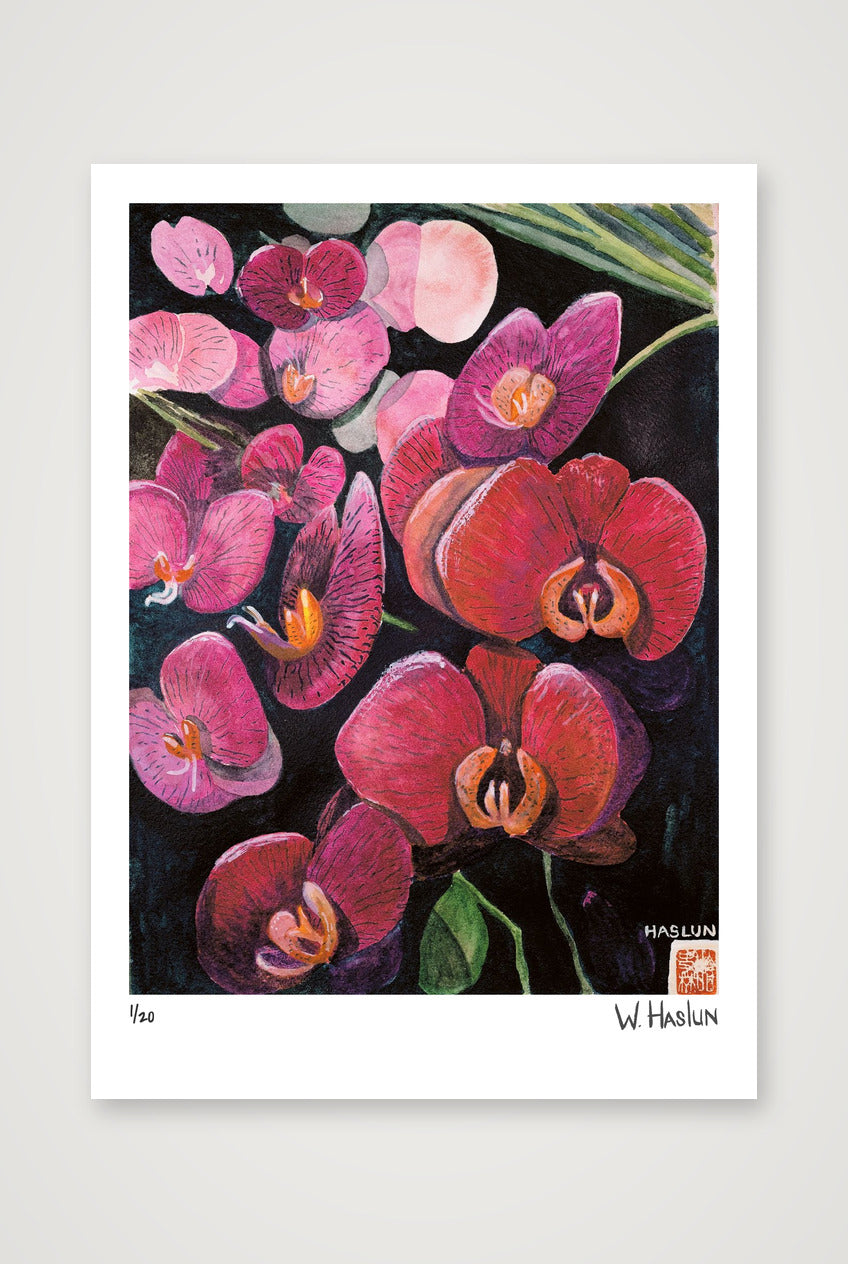 Pink Orchids — 42×59cm, 17×23" Print only