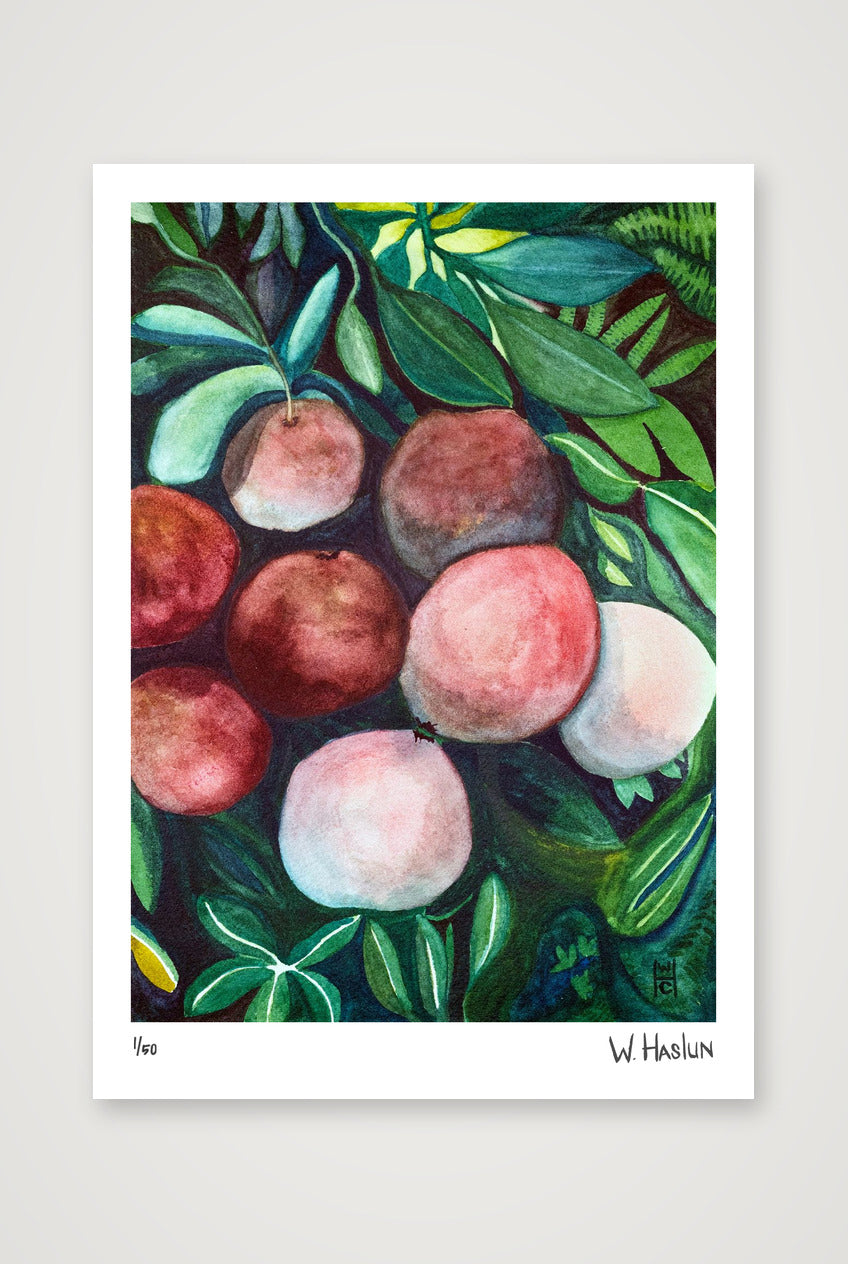 Pomegranates — A4 (21×30cm, 8×12") Print only
