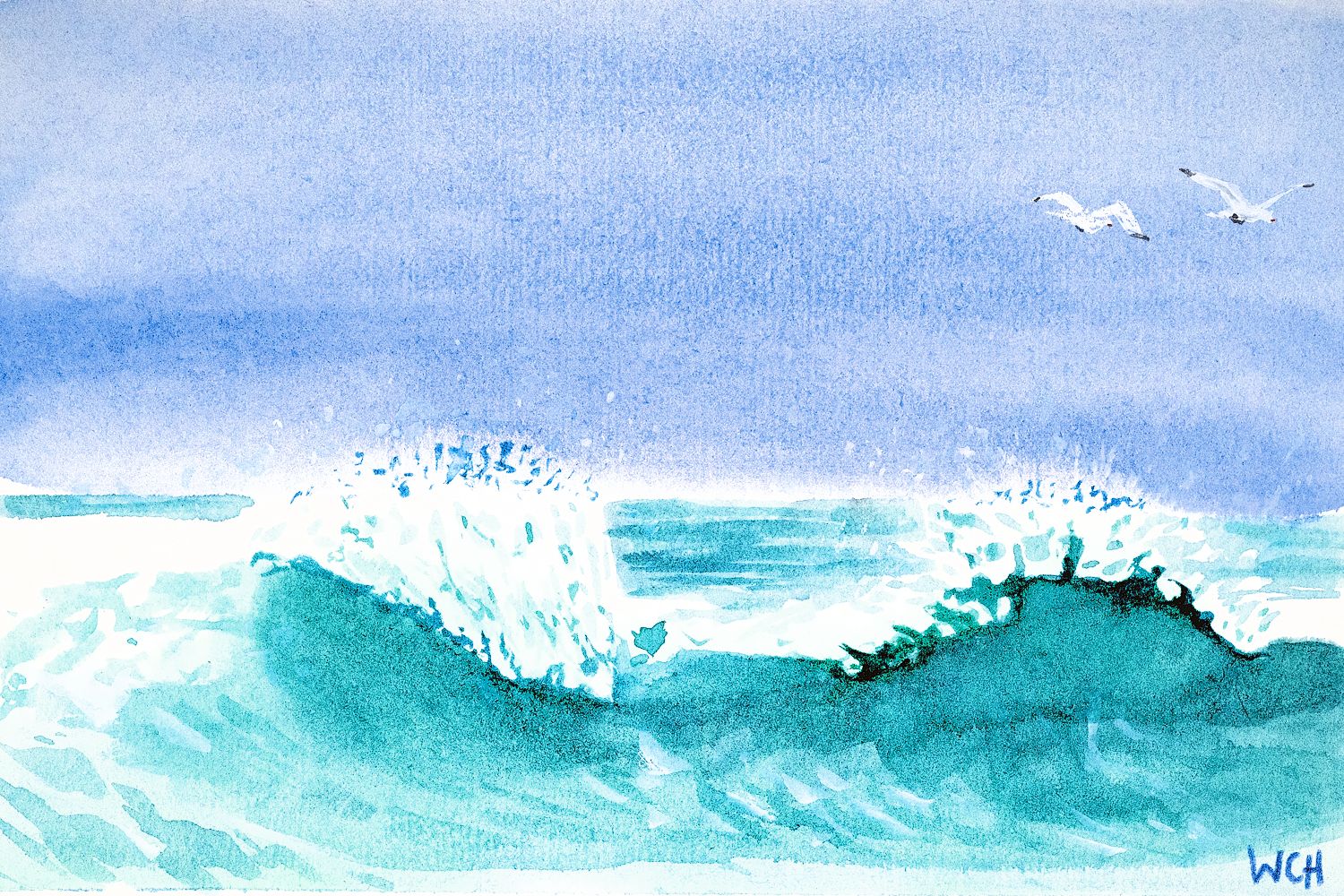 Gulls In The Spray