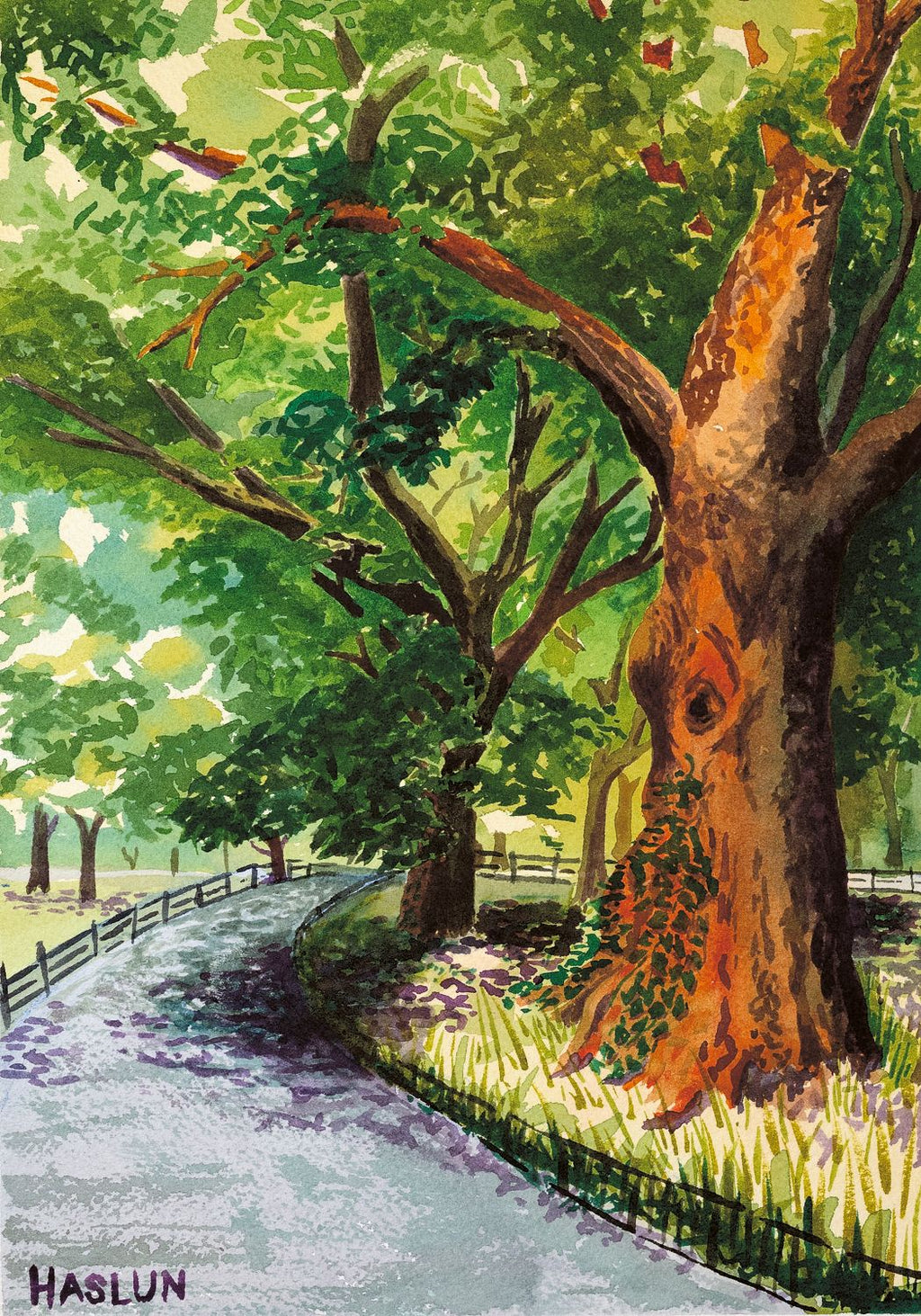 Central Park Tree Eye