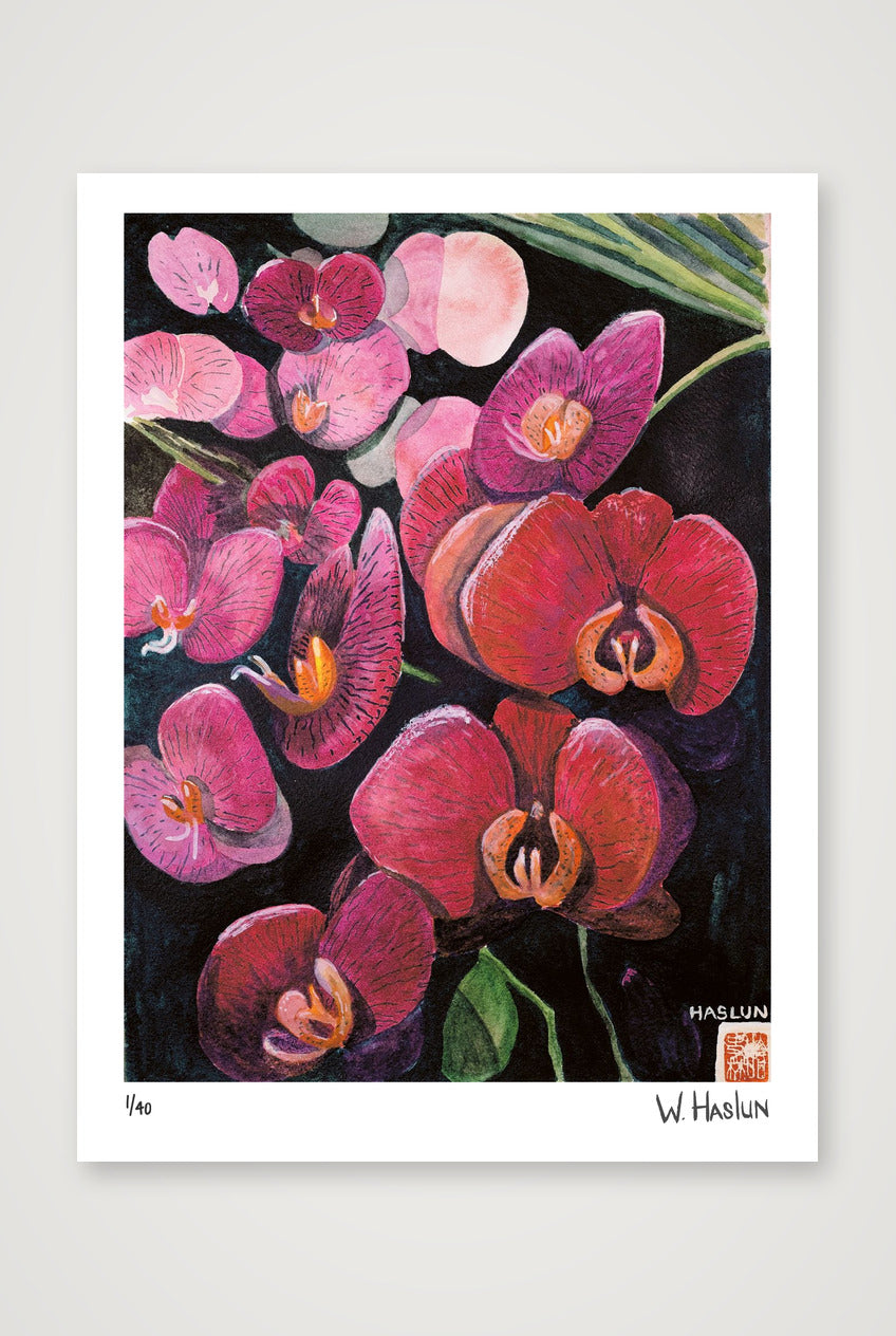 Pink Orchids — 30×40cm, 12×16" Print only
