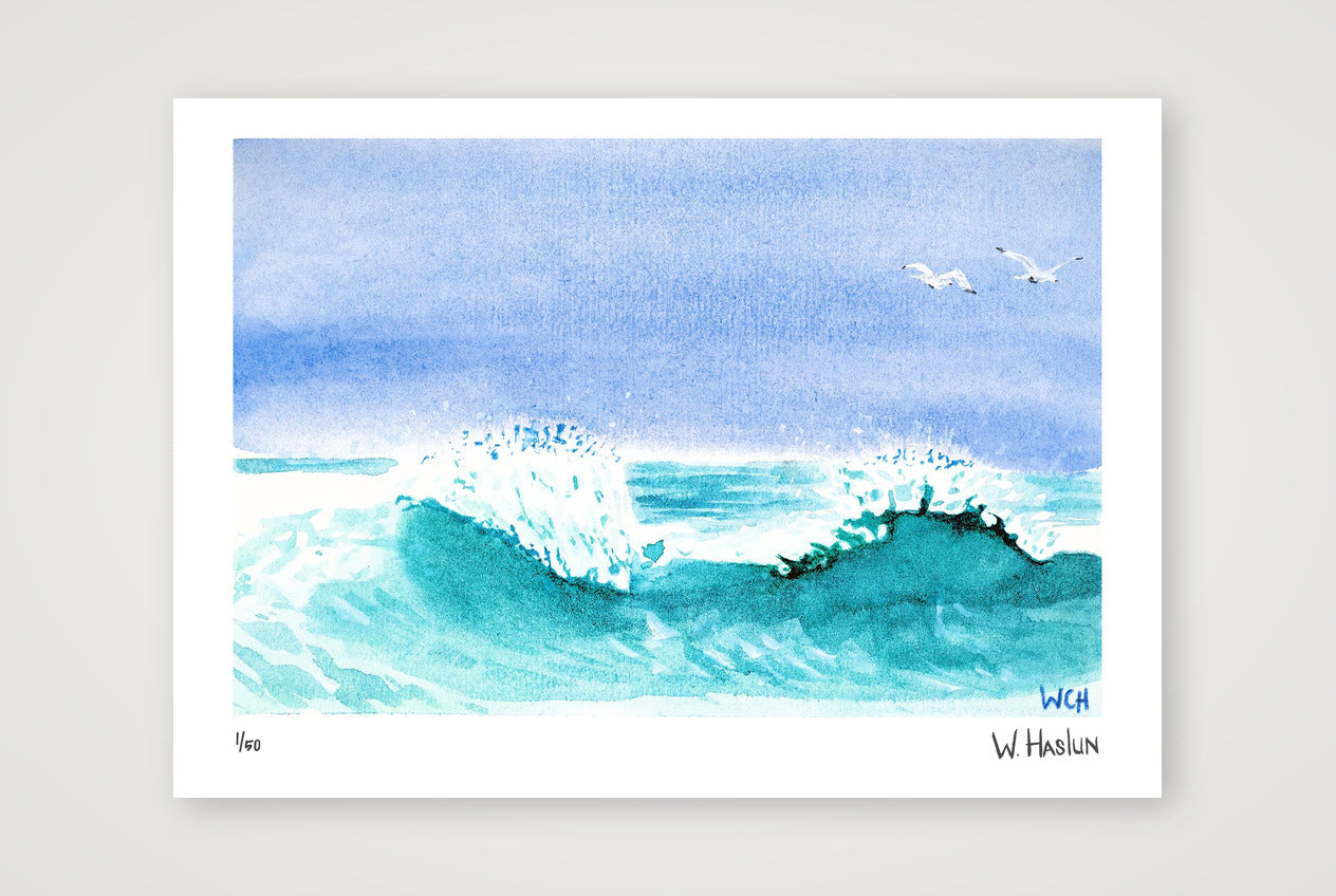 Gulls In The Spray — A4 (30×21cm, 12×8") Print only