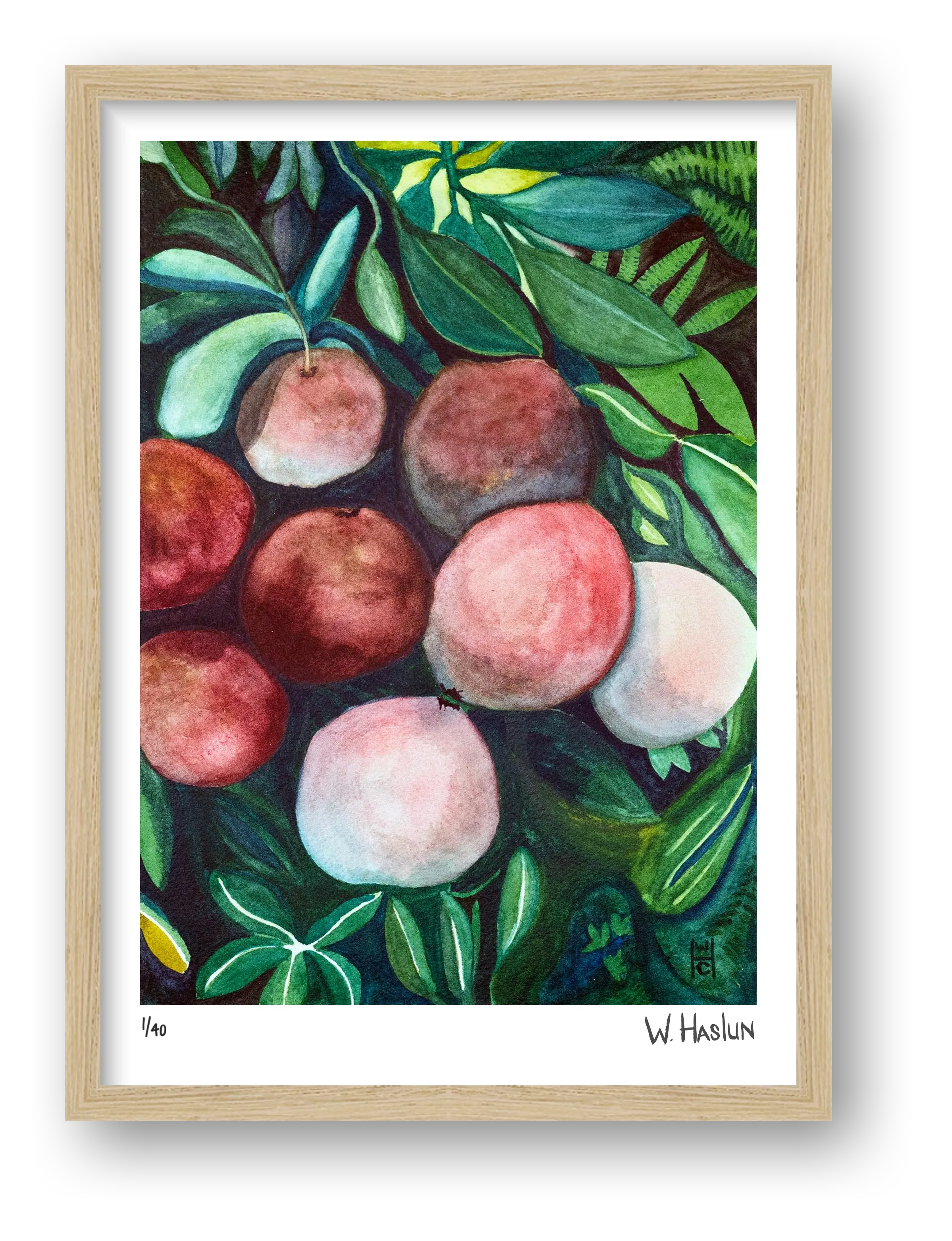 Pomegranates — framed