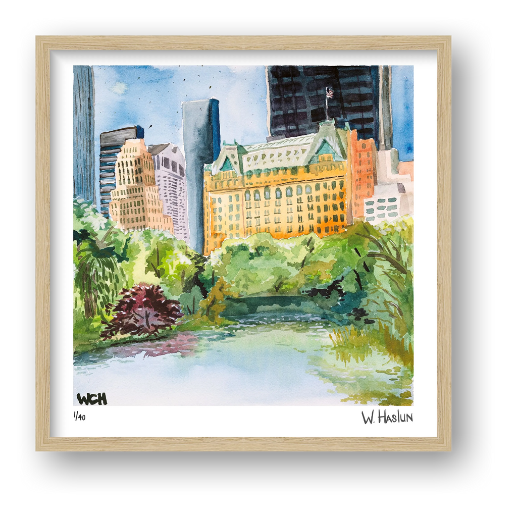 The Plaza & The Pond — framed