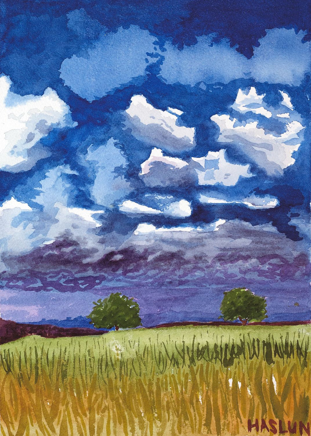 Summer Fields